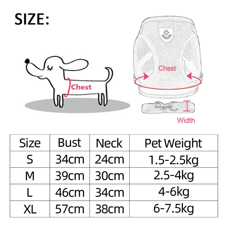 **Cat & Dog Harness Vest – Adjustable Mesh Walking Lead Leash for Small/Medium Pets** - Pawsitive Cuddles