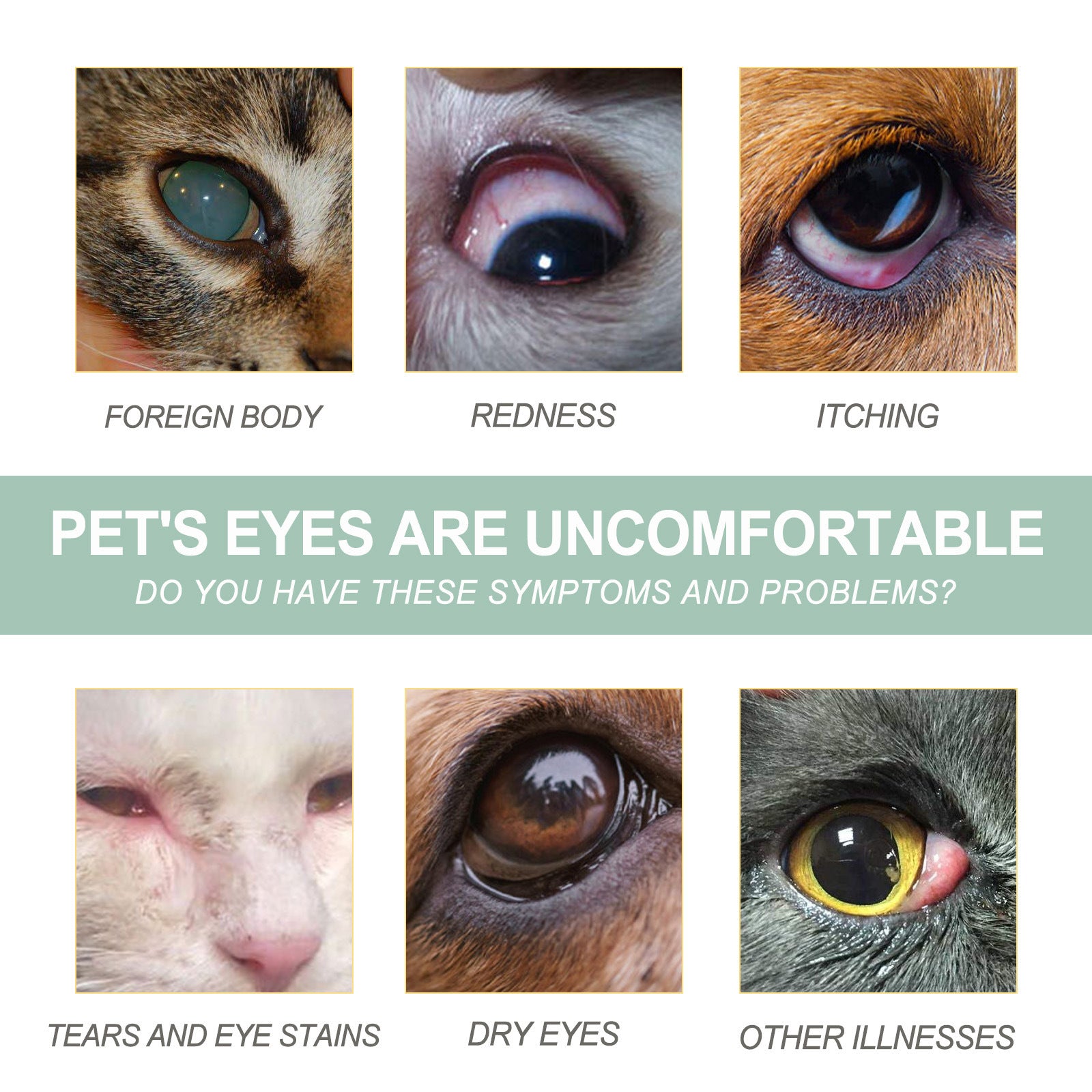 Gentle Eye Care Drops for Dogs & Cats - Pawsitive Cuddles