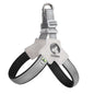 Y-Shaped Dog Harness for Small & Medium Dogs - Pawsitive Cuddles
