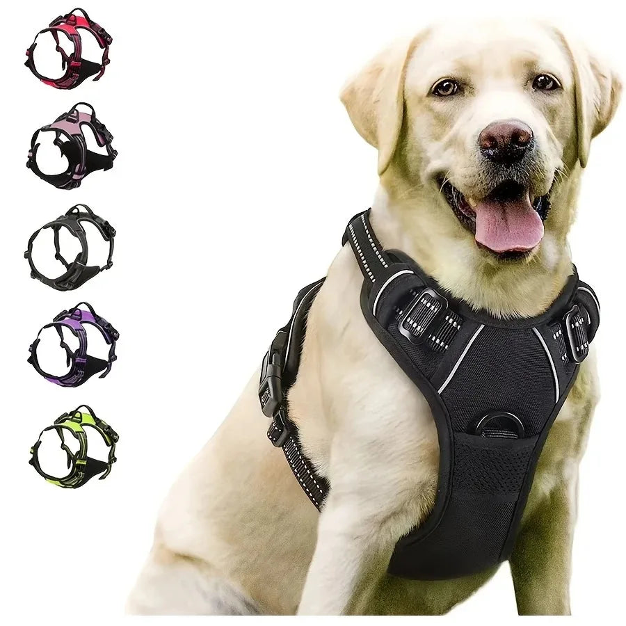 Dog Collar, Harness & Leash Set - Pawsitive Cuddles