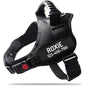 New Dog Harness High Quality Nylon Adjustable - Pawsitive Cuddles