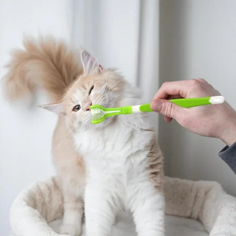 3-Sided Pet Toothbrush - Pawsitive Cuddles