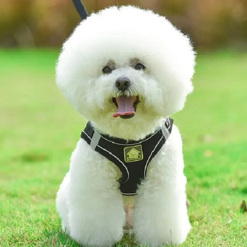 Reflective No-Pull Pet Harness & Leash Set - Pawsitive Cuddles