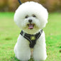 Reflective No-Pull Pet Harness & Leash Set - Pawsitive Cuddles