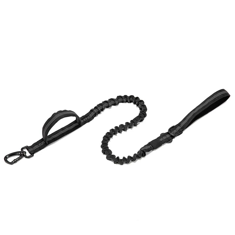 Reflective Nylon Dog Collar & Leash Set - Pawsitive Cuddles