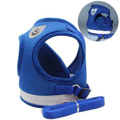 Escape-Proof Mesh Vest for Cats & Small Dogs – Soft Pet Harness with Lead - Pawsitive Cuddles