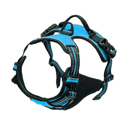Dog Collar, Harness & Leash Set - Pawsitive Cuddles