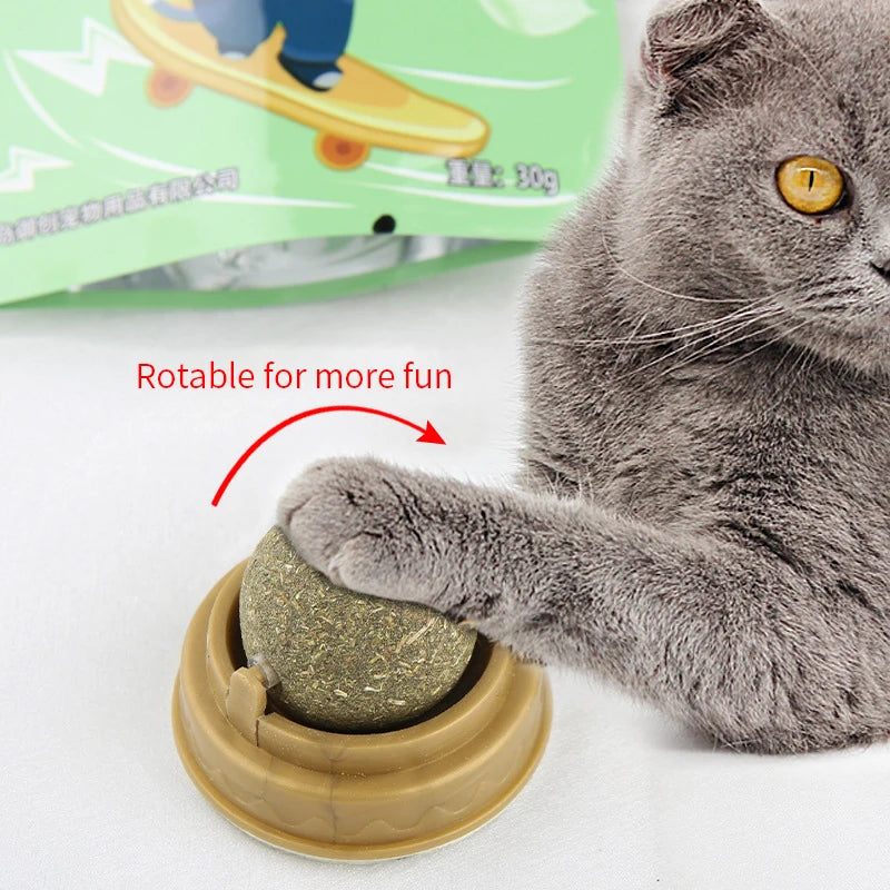 "Natural Catnip Wall Ball – Healthy Treat & Digestive Aid for Cats" - Pawsitive Cuddles