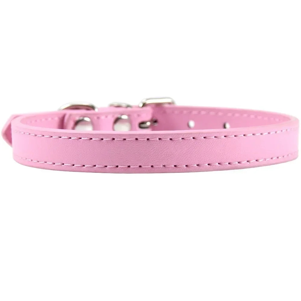 Colorful Leather Puppy & Cat Collar - Pawsitive Cuddles