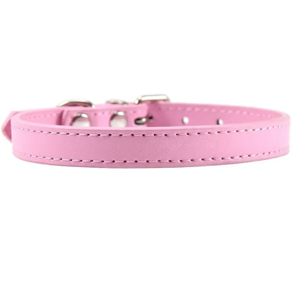 Colorful Leather Puppy & Cat Collar - Pawsitive Cuddles