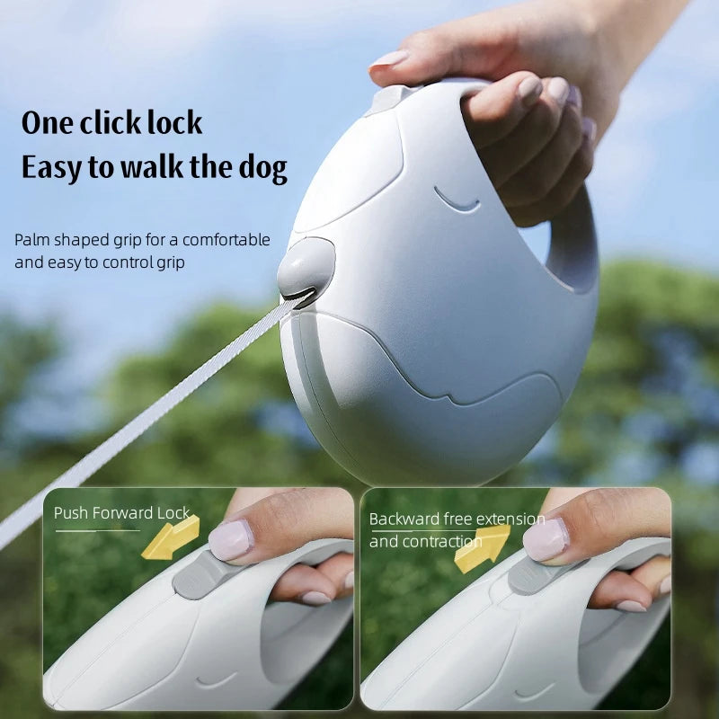Nylon Rope Traction Lead for Small & Medium Dogs - Pawsitive Cuddles