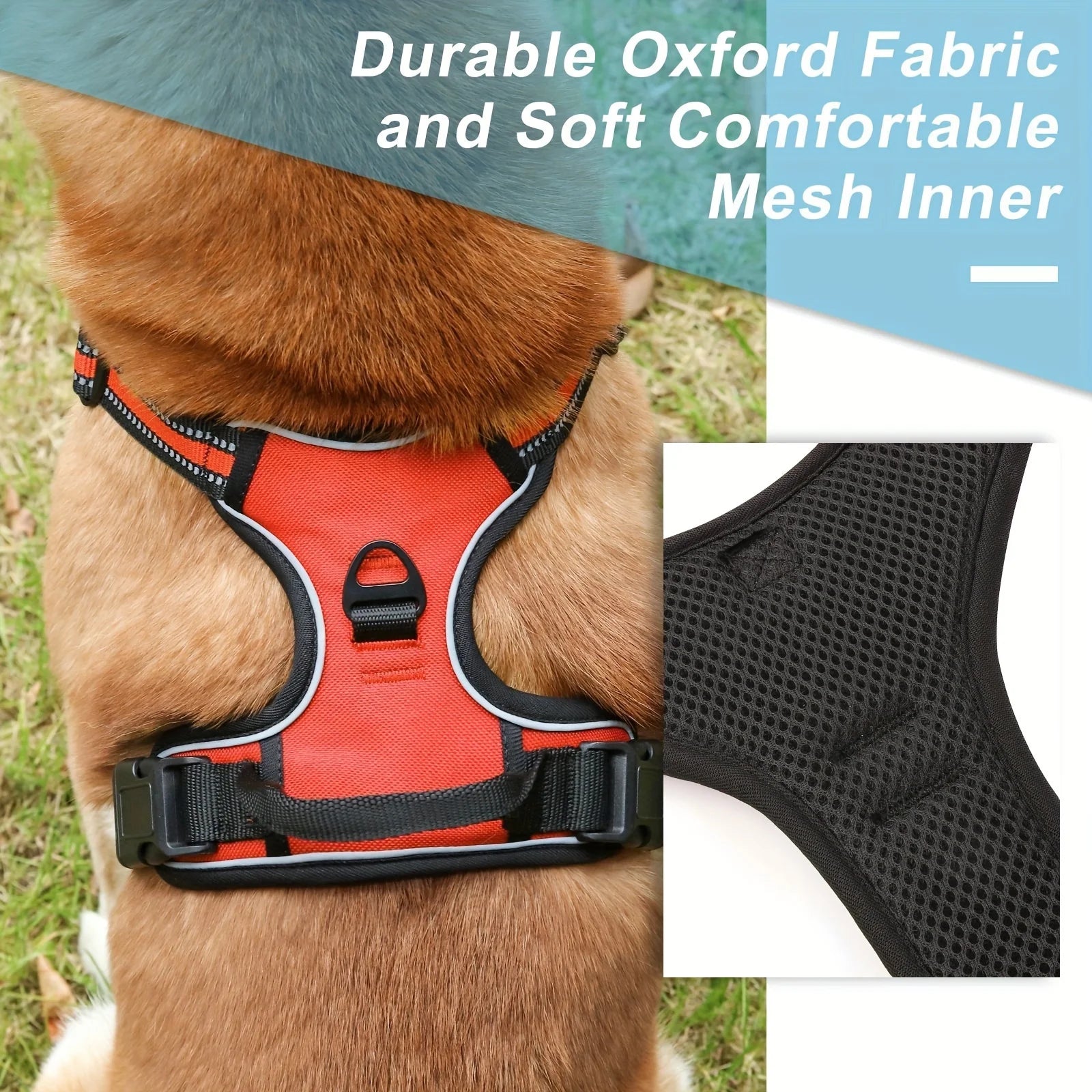 3 Pcs/set Anti-Escape Dog HarnessLeash And Poop Bag - Pawsitive Cuddles