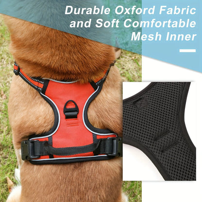 3 Pcs/set Anti-Escape Dog HarnessLeash And Poop Bag - Pawsitive Cuddles