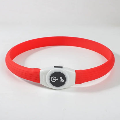LED Luminous Dog Colla - Pawsitive Cuddles