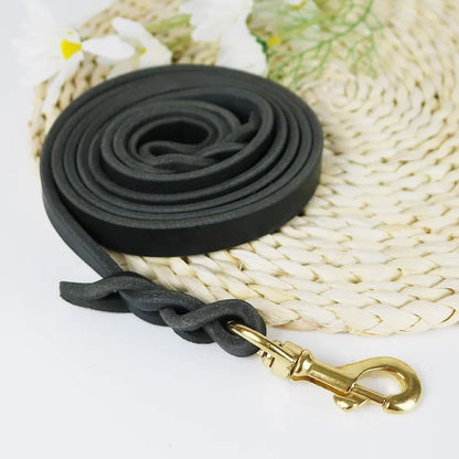 Braided Long Lead for Medium & Large Dogs - Pawsitive Cuddles