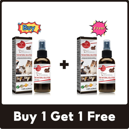Dental Cleaning & Tartar Removal for Dogs - Pawsitive Cuddles