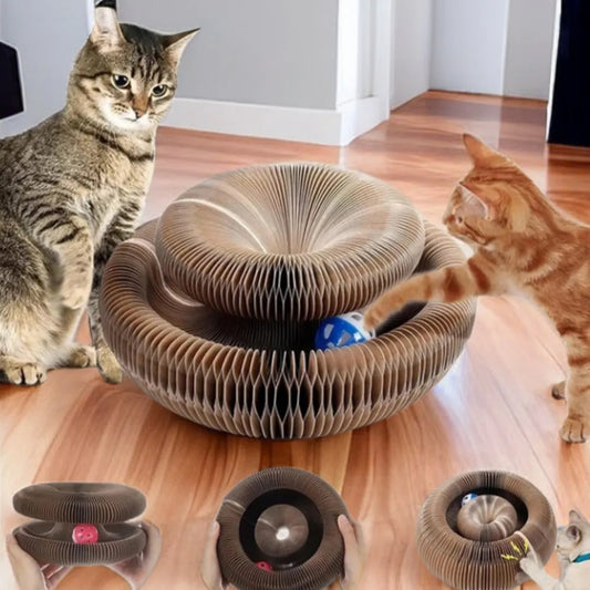 Round Corrugated Claw Grinder with Ball - Pawsitive Cuddles