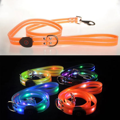 Pet LED Light UP Leash USB Rechargeable - Pawsitive Cuddles