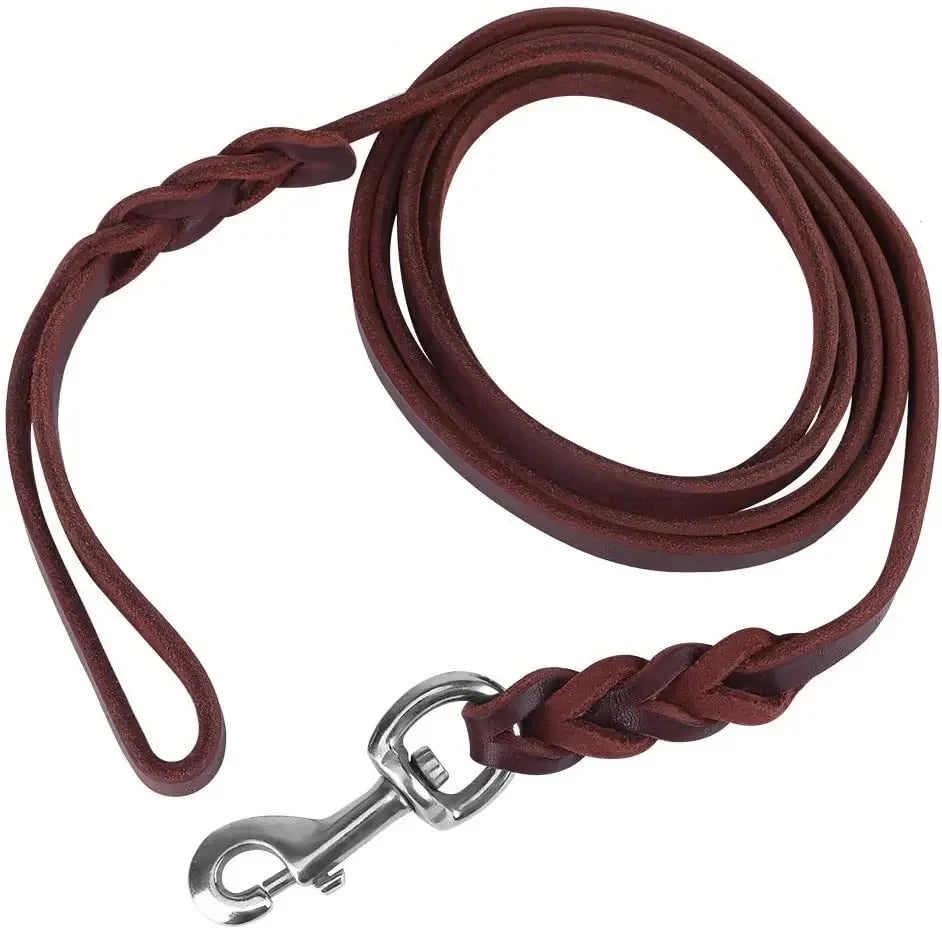 Braided Long Lead for Medium & Large Dogs - Pawsitive Cuddles