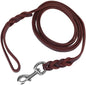 Braided Long Lead for Medium & Large Dogs - Pawsitive Cuddles