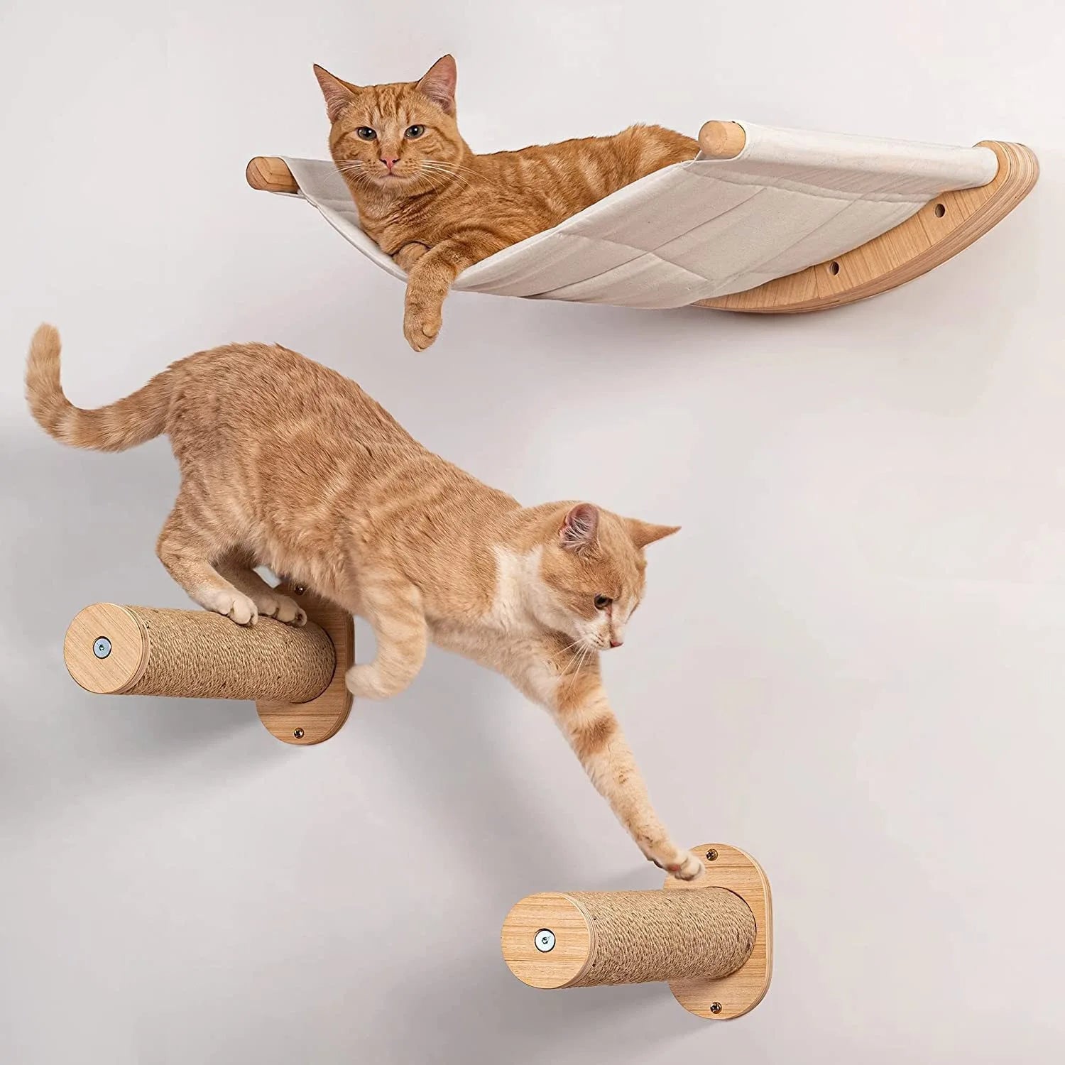 Climbing Wall Bed Nest with Cat Steps - Pawsitive Cuddles