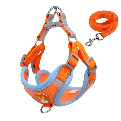 No-Pull Pet Dog Harness & Leash Set - Pawsitive Cuddles