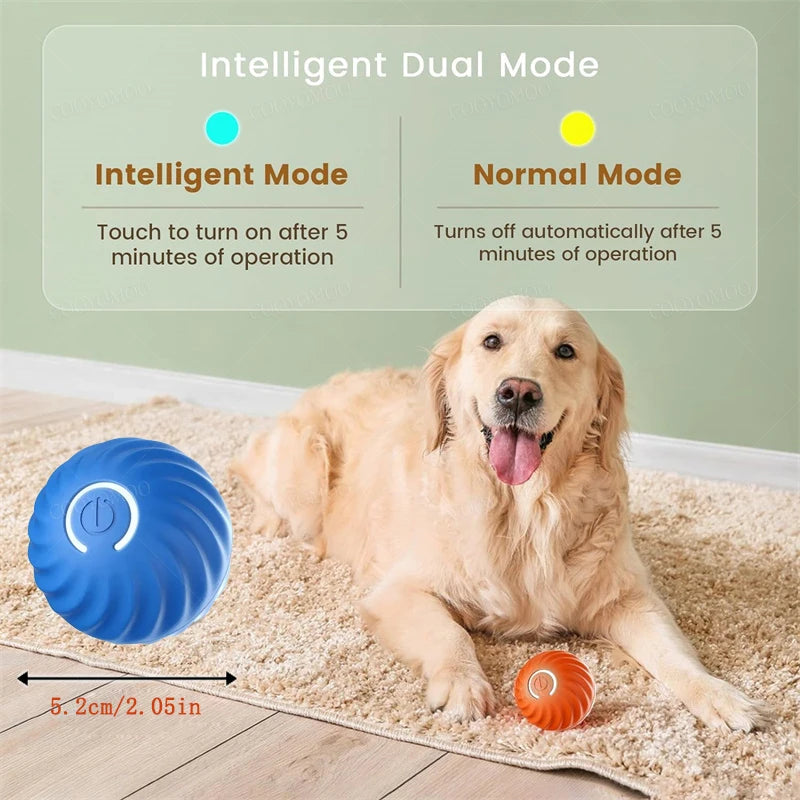 USB Rechargeable Interactive Bouncing Ball - Pawsitive Cuddles
