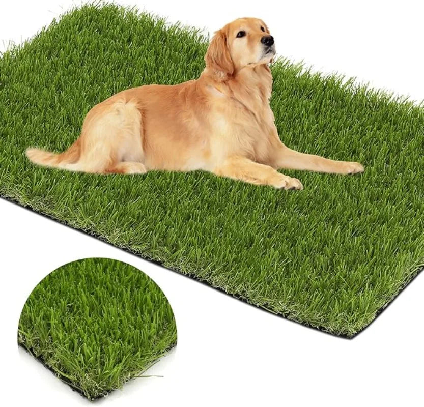 Artificial Grass Pad for Dog Potty Training - Pawsitive Cuddles