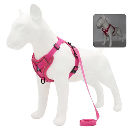 Reflective Pet Harness & Leash Set - Pawsitive Cuddles