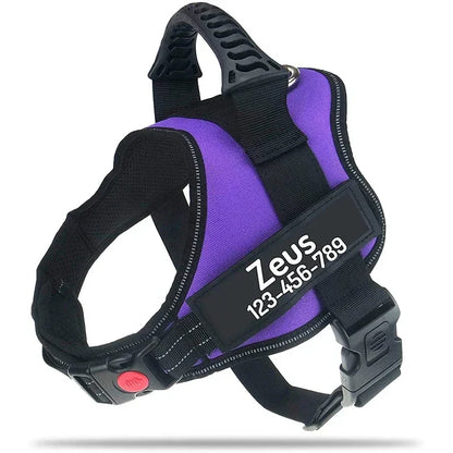 New Dog Harness High Quality Nylon Adjustable - Pawsitive Cuddles