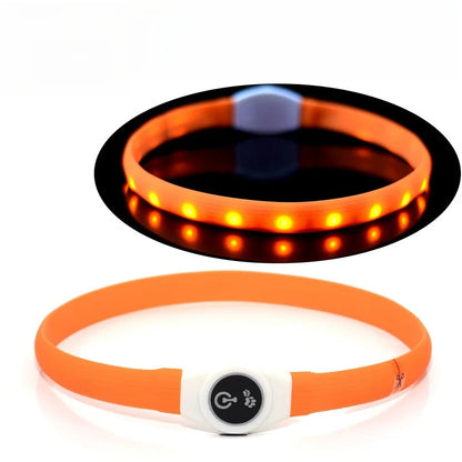 LED Luminous Dog Colla - Pawsitive Cuddles