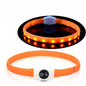 LED Luminous Dog Colla - Pawsitive Cuddles