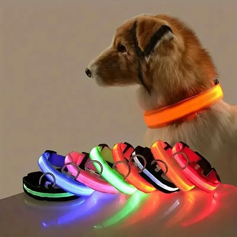 Nylon LED Night Safety Flashing Glow In The Dark Dog Leash Dogs Luminous Fluorescent Pet Dog Collar - Click Mart