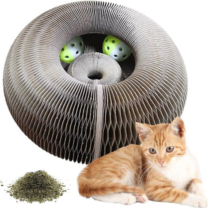 Round Corrugated Claw Grinder with Ball - Pawsitive Cuddles