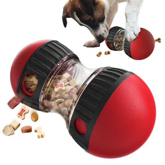 Elliptical Track Rolling Ball with Treat Dispenser - Pawsitive Cuddles