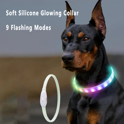 USB Rechargeable Glowing Collar for Large and Small Dogs - Pawsitive Cuddles
