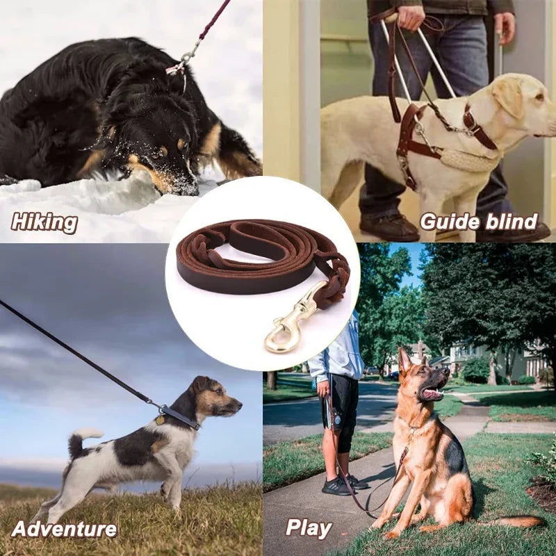 Braided Long Lead for Medium & Large Dogs - Pawsitive Cuddles