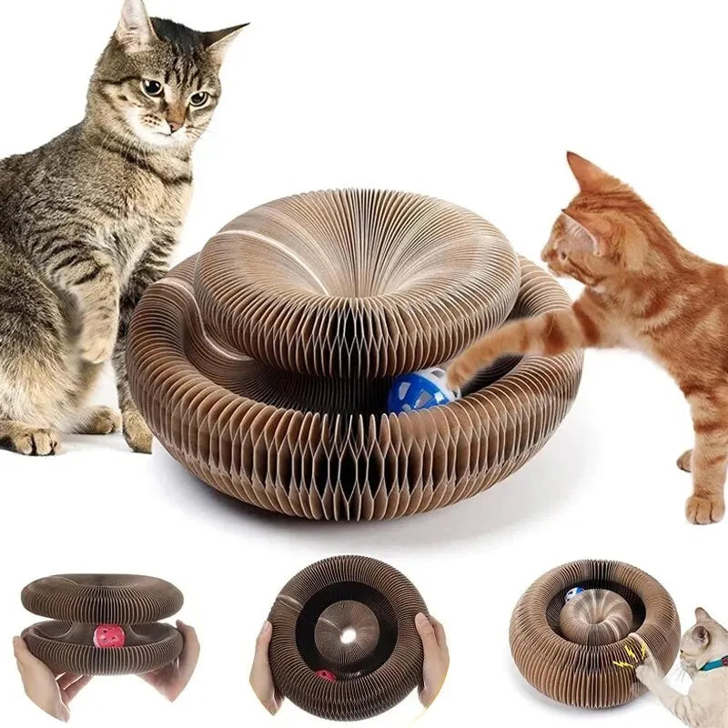 Round Corrugated Claw Grinder with Ball - Pawsitive Cuddles