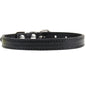 Colorful Leather Puppy & Cat Collar - Pawsitive Cuddles