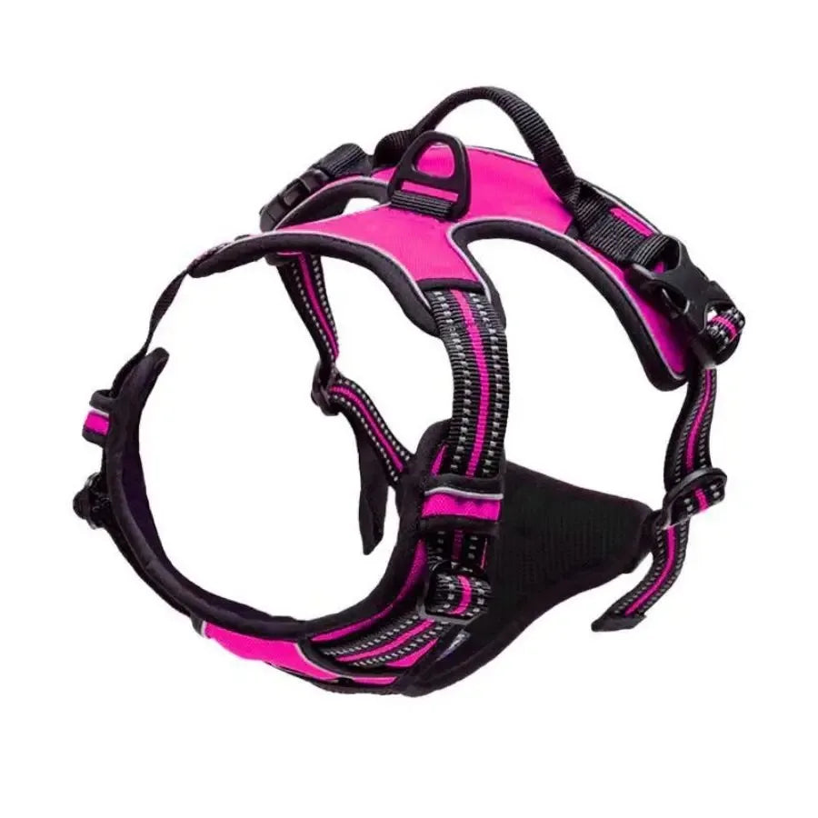 Dog Collar, Harness & Leash Set - Pawsitive Cuddles