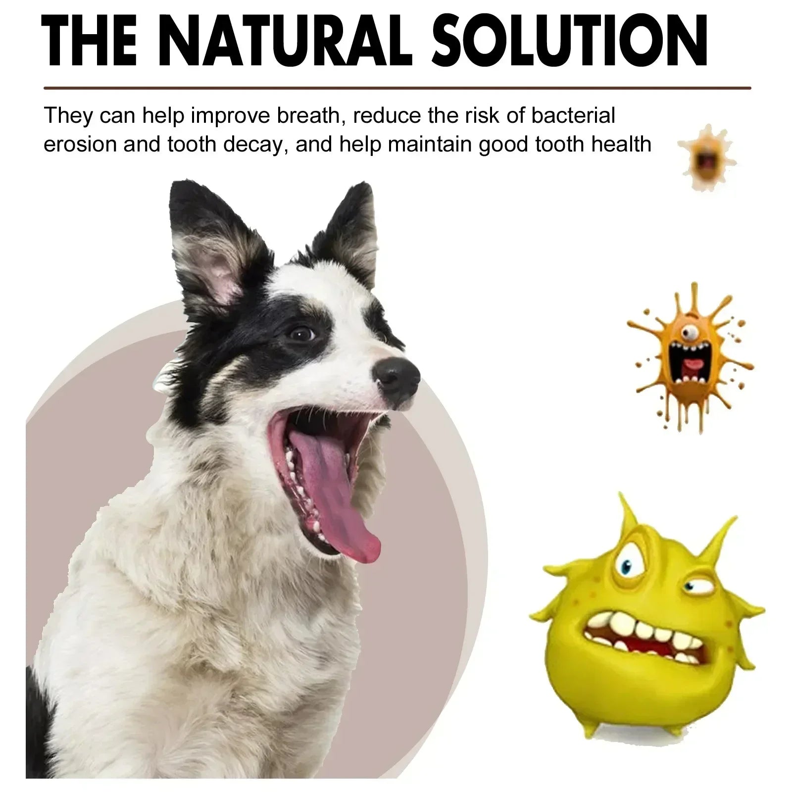 Pet Tooth Cleaning Spray - Pawsitive Cuddles