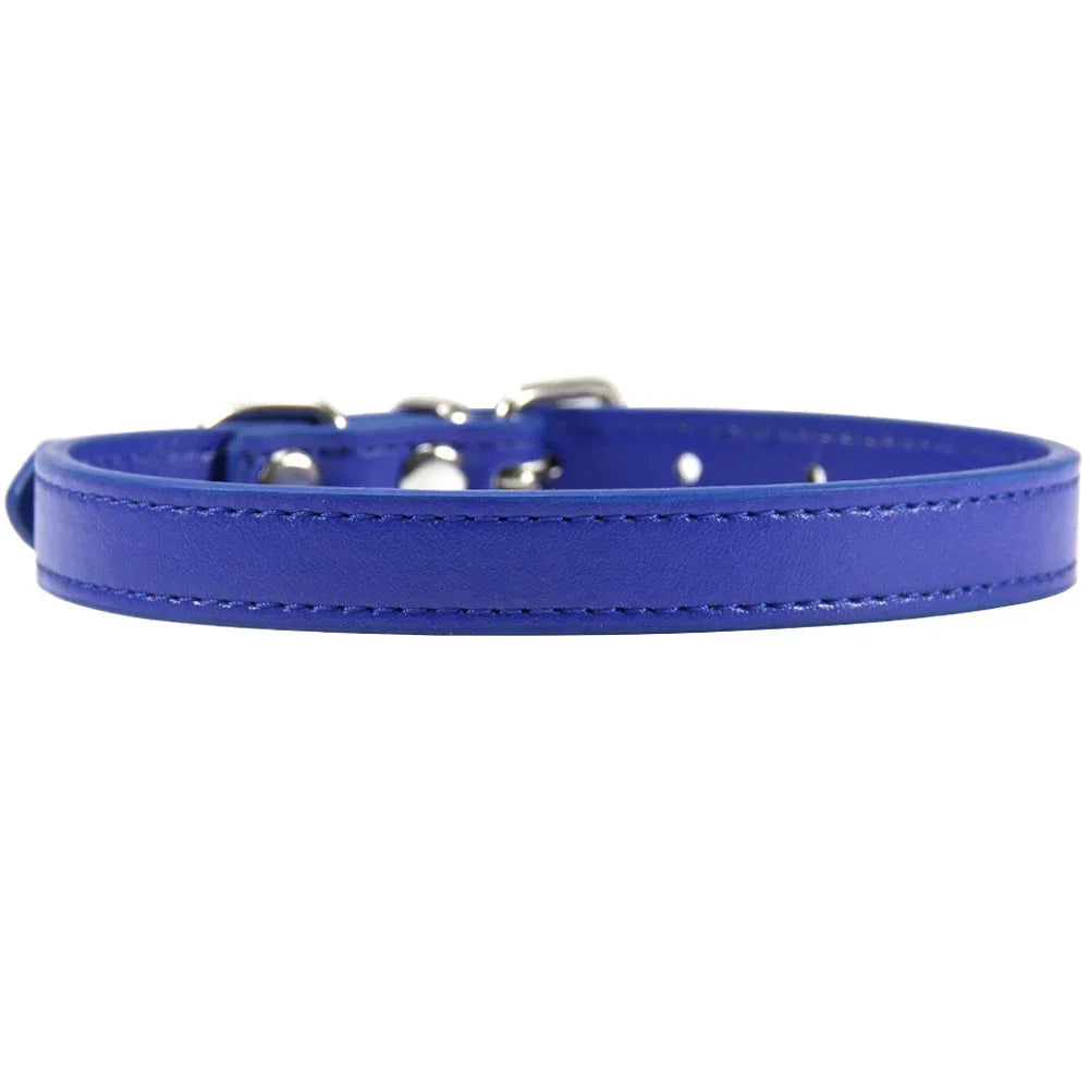 Colorful Leather Puppy & Cat Collar - Pawsitive Cuddles