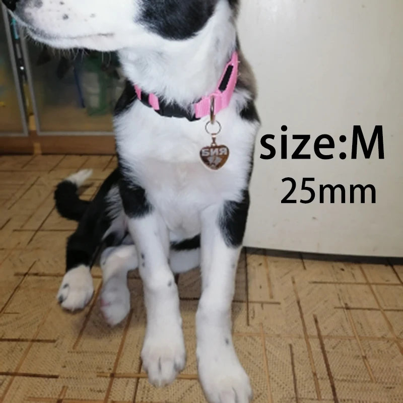 ustom Heart-Shaped Pet ID Tag - Pawsitive Cuddles