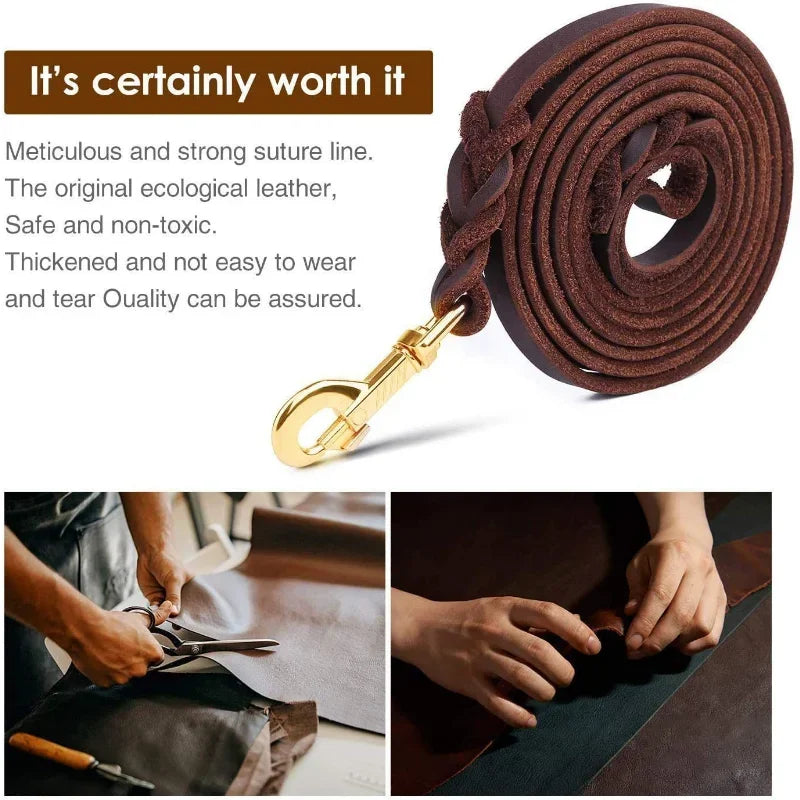 Braided Long Lead for Medium & Large Dogs - Pawsitive Cuddles