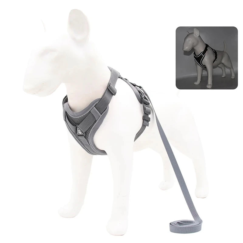 Reflective Pet Harness & Leash Set - Pawsitive Cuddles