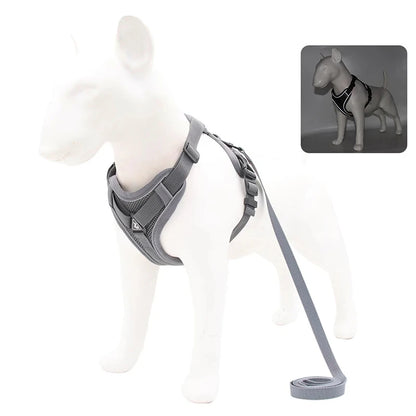Reflective Pet Harness & Leash Set - Pawsitive Cuddles