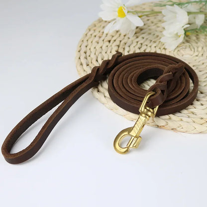 Braided Long Lead for Medium & Large Dogs - Pawsitive Cuddles