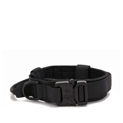 Reflective Nylon Dog Collar & Leash Set - Pawsitive Cuddles