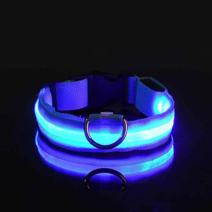 Nylon LED Night Safety Flashing Glow In The Dark Dog Leash Dogs Luminous Fluorescent Pet Dog Collar - Click Mart