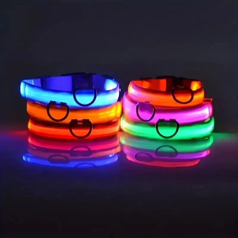 Nylon LED Night Safety Flashing Glow In The Dark Dog Leash Dogs Luminous Fluorescent Pet Dog Collar - Click Mart